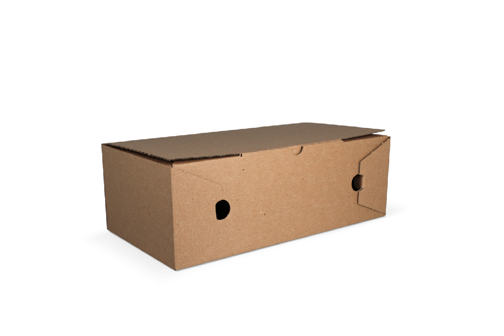 [151140065] Calzone doos kraft 300x160x100mm BIO 100st