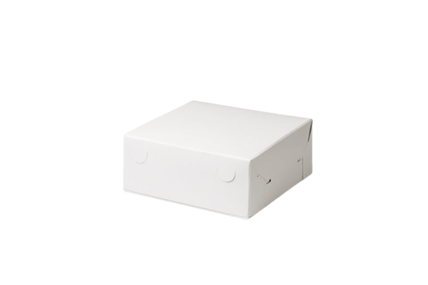 Gebaksdoos 20x20x8cm 100st