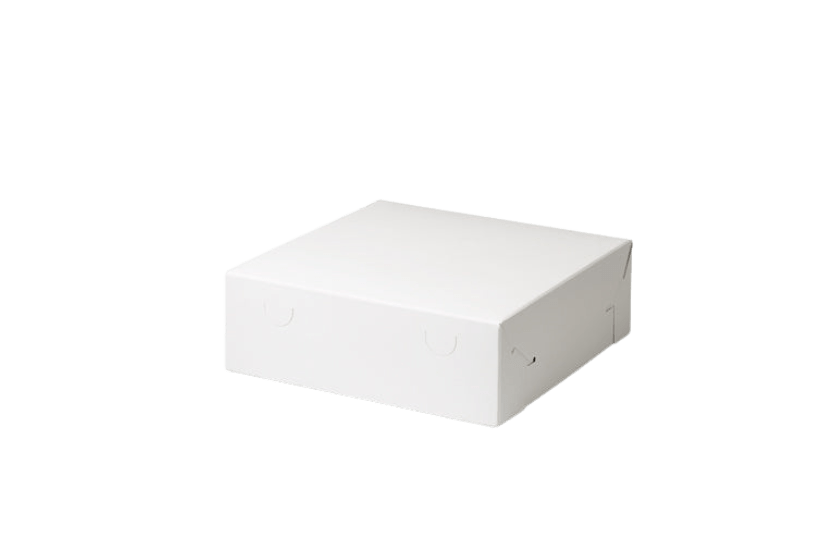 Gebaksdoos 25x25x8cm 100st