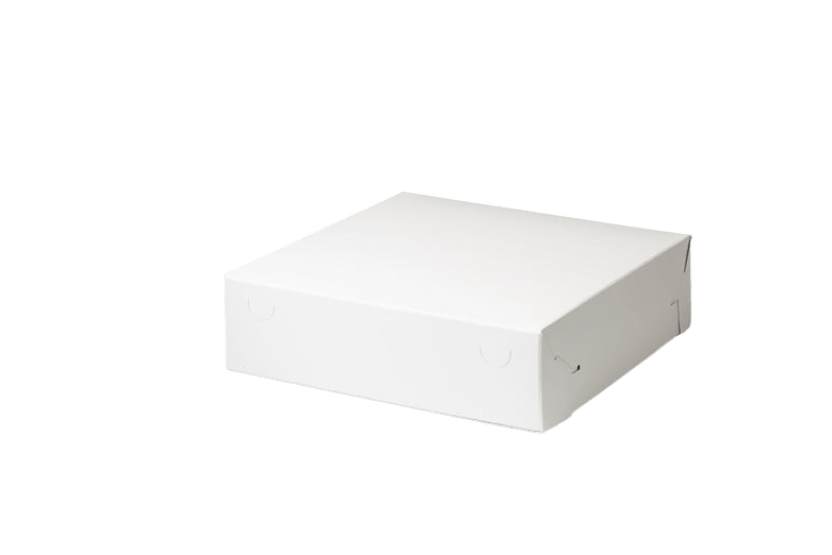 [151140073] Zwanenhalsdozen 30 x 30 x 8cm (gebaksdozen) 50st
