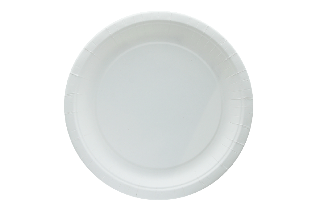 Bord Ø23cm wit karton BIO 1300st