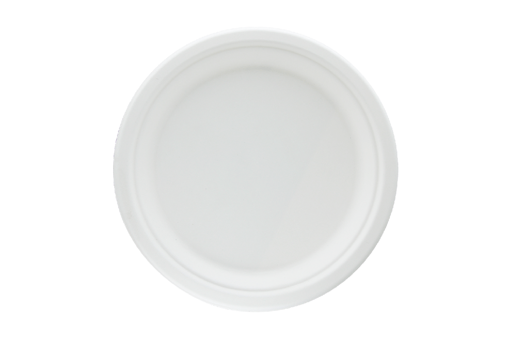 [1519988103] Bord Ø23 cm suikerriet BIO 500st