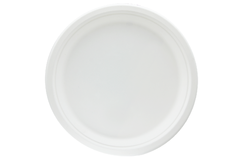 Bord Ø26cm suikerriet BIO 500st