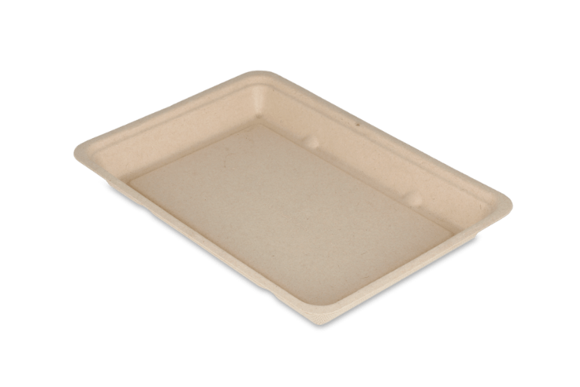 Snackschaaltje V3 suikerriet BIO 500st