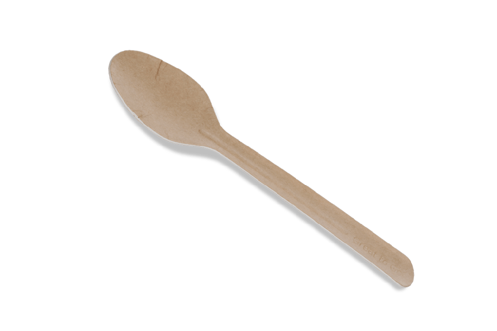 Kartonnen lepel 165mm BIO 1000st