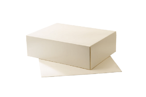 [151140042] Duplex doos 260x200x80mm wit 200st