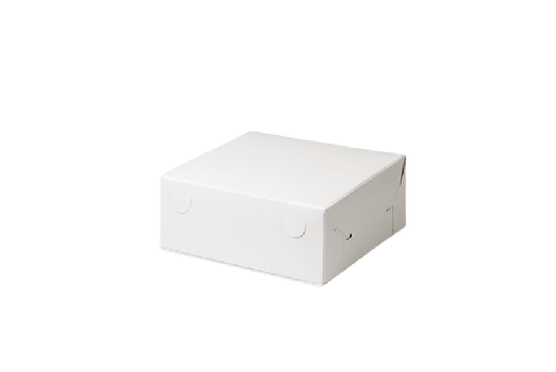 [151140071] Gebaksdoos 20x20x8cm 100st