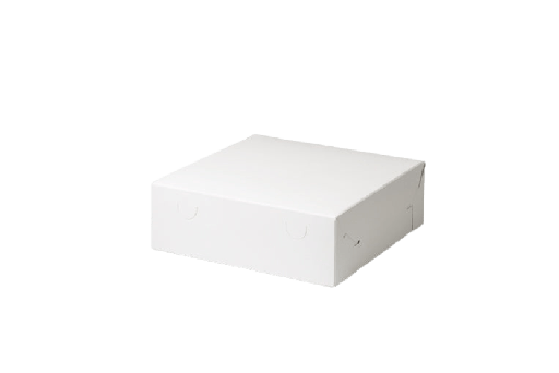 [151140072] Gebaksdoos 25x25x8cm 100st