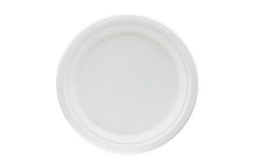 [1519988103] Bord Ø23 cm suikerriet BIO 500st