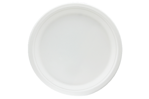 [1519988104] Bord Ø26cm suikerriet BIO 500st