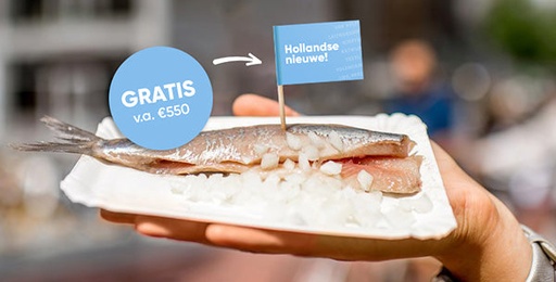 [1519925086] Gratis 'Hollandse Nieuwe' Vlagprikkers bij besteding vanaf 550 euro 100st