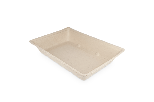 [1519987196] Frietbakjes A50 suikerriet BIO 600st