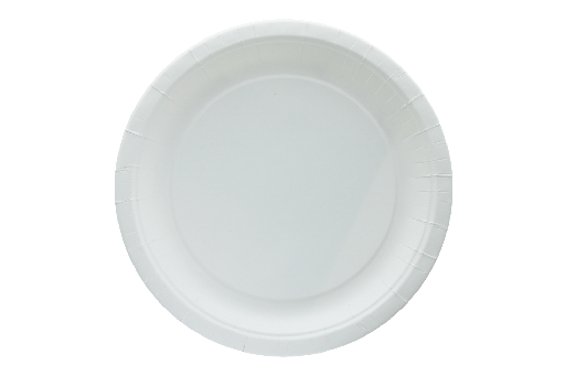 [1519987247-3] Bord Ø23cm wit karton BIO 1000st
